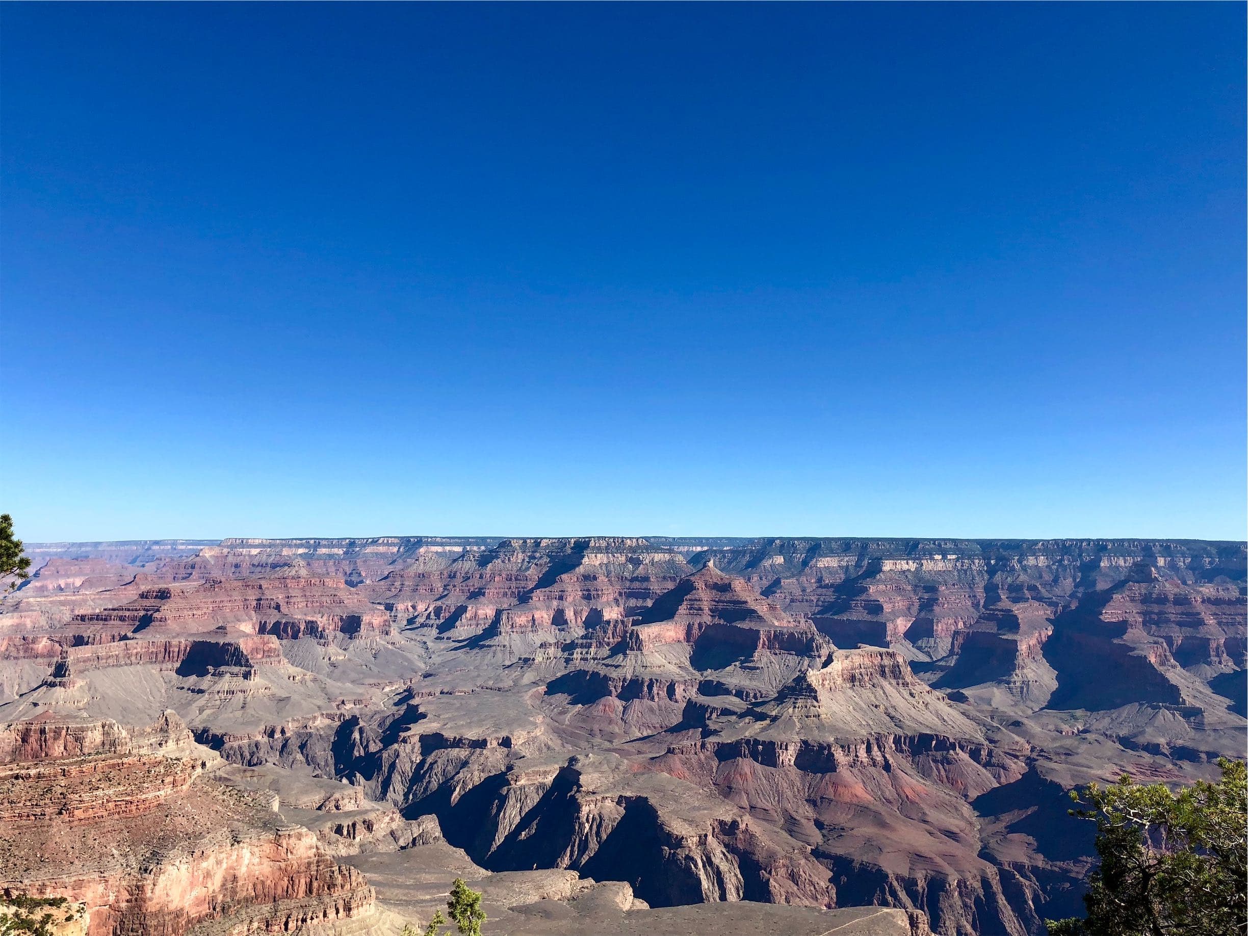 Picture taken in Grand Canyon, USA