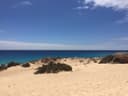 Picture taken in Fuerteventura, Canary Islands