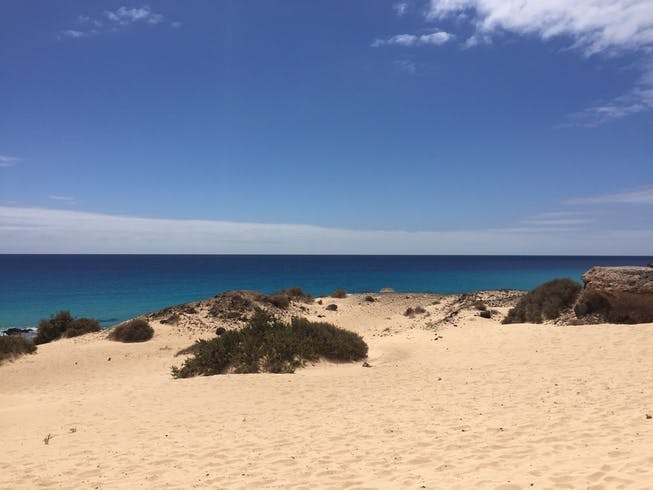 Picture taken in Fuerteventura, Canary Islands