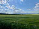 Picture taken in Zabkowice, Poland